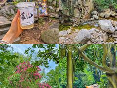 -沂蒙山旅游区云蒙景区(蒙山国家森林公园)