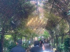 -The Grounds of Alexandria
