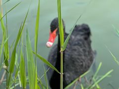 -昆山城市生态森林公园