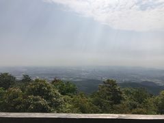-东莞市大岭山森林公园