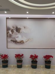 -紫琪尔胸部养护中心