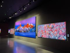 -罗红摄影艺术馆