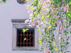 -深圳国际园林花卉博览园