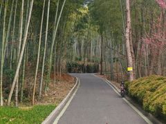 -冶父山国家森林公园
