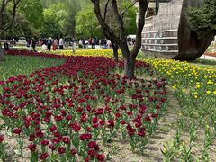 -长春公园(普阳街道)