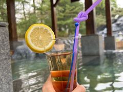 -和园景逸大酒店朗月汤泉
