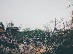 -驿舍·民國老营房院子私房菜(科学会堂店)