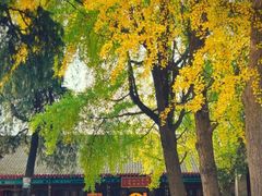 -万寿八仙宫