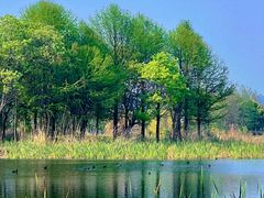 -贡湖湾湿地公园