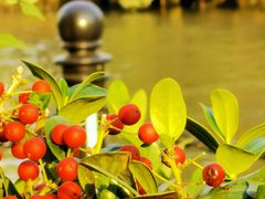 -苏州河梦清园环保主题公园