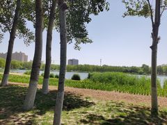-秀水公园