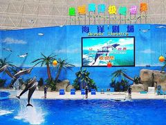 -泉城欧乐堡海洋极地世界