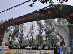 -白渔泡湿地公园