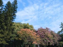 -晓港公园