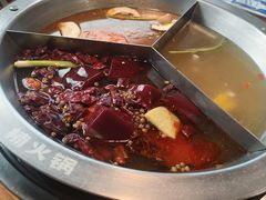 -楠火锅(哈尔滨金爵万象店)