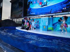 -成都浩海立方海洋公园