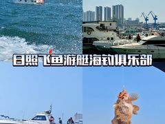 -日照海滨国家森林公园