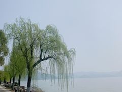 -东钱湖小普陀景区