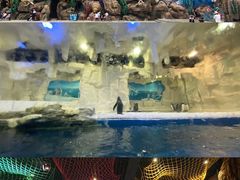 -华夏文旅海洋公园