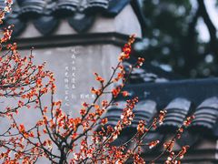 -无锡梅园公园