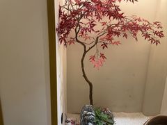 -有茶空间(万科金色半山店)