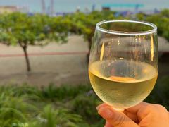 -渔家火锅·海鲜自助餐·演艺(亚龙湾天域酒店)