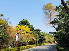 -长春市南湖公园