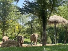 -北京野生动物园