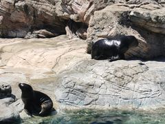 -珠海长隆海洋王国