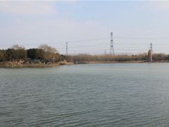 -昆山城市生态森林公园