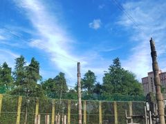 -上海野生动物园