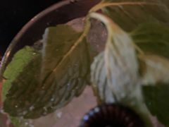 -HIB HUB公社(解放西路店)