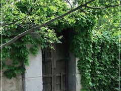 -红楼梦邮局