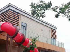 -九龙湖公园