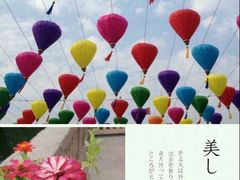 android_upload_pic-横店影视城明清宫苑园区