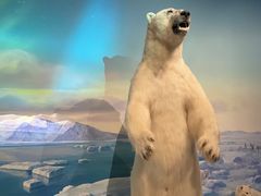 -陕西自然博物馆