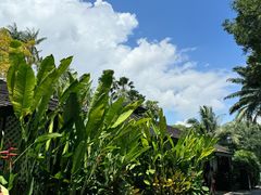 -植物园哈利亚餐厅