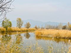 -野鸭湖国家湿地公园