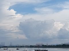 -大湾区中央湿地公园-十九涌