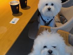 -海岛日记(养马岛店)