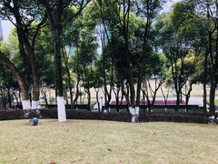 -重庆市江北嘴中央商务区中央公园