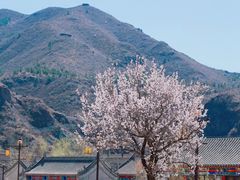 -大境门景区