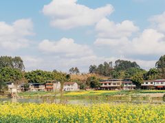 -四川大学(望江校区)