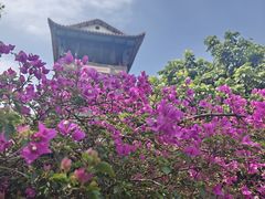 -东莞市可园博物馆