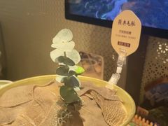 -巴奴毛肚火锅(京西大悦城店)