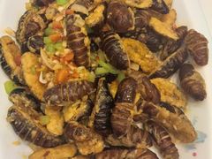 -老妈厨房团圆饺子东北菜(北环路店)
