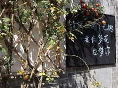 -台儿庄古城