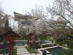 -苏州湾王焰温泉度假酒店