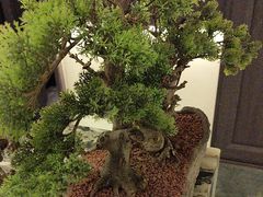 -大妙火锅·非物质文化遗产(东湖公园店)
