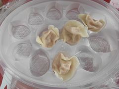 原汁海胆饺子-喜鼎海胆水饺(东港店)